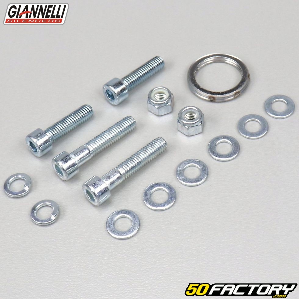 Exhaust giannelli vertical peugeot 50 2t - spare part